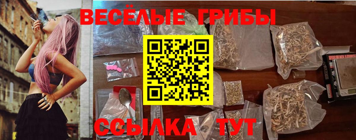 Галлюциногенные грибы Psilocybine cubensis Йошкар-Ола