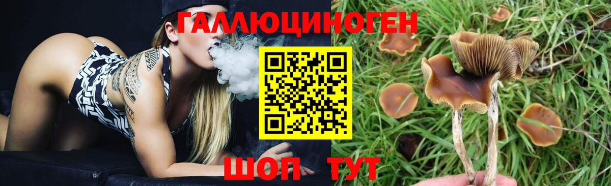 Псилоцибиновые грибы MAGIC MUSHROOMS  Вход с VPN  закладка  Йошкар-Ола 